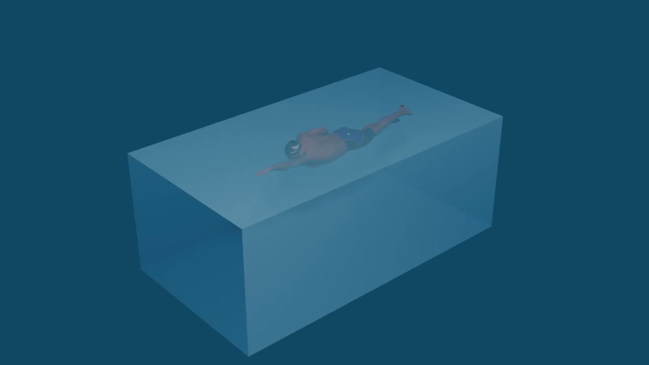 Swimming Mesh Recovery